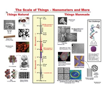 scaleofthings.jpg