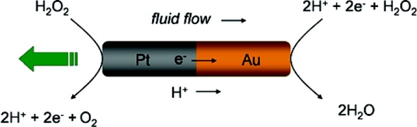 Nanomotor from  https://en.wikipedia.org/wiki/File:AuPtnanomotor.jpg