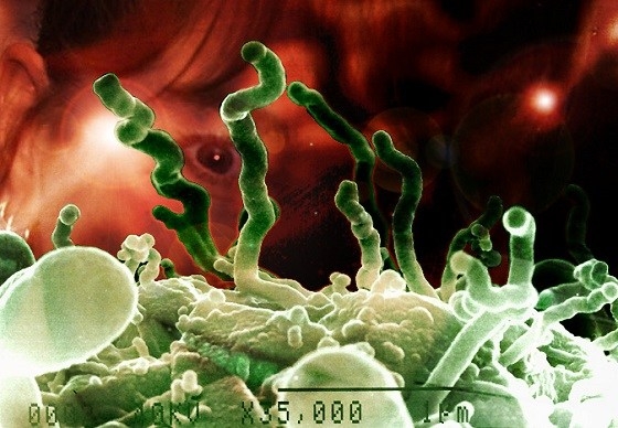 Nanobes image at https://www.topistan.com/item/nanobes/