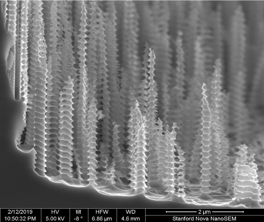 Silicon Micro-Structures