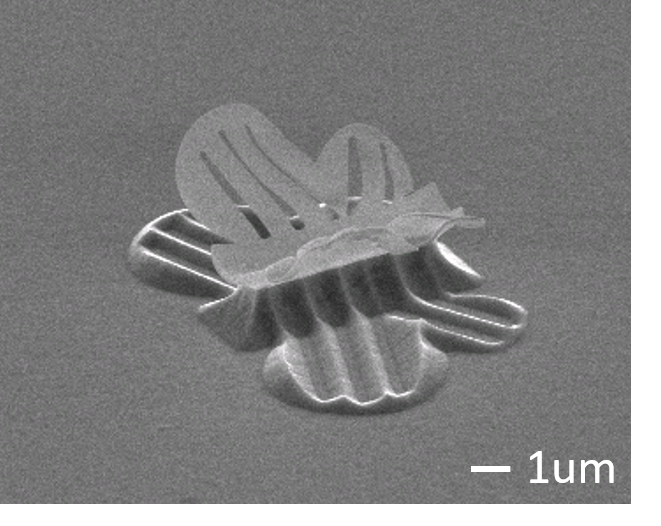 a flying polymer butterfly is achieved by an in-situ monitored reversible self-assembly process