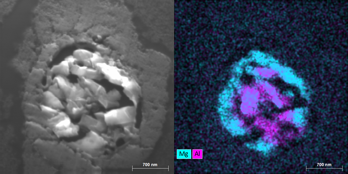 Interplanetary dust particle from the pre-solar nebula