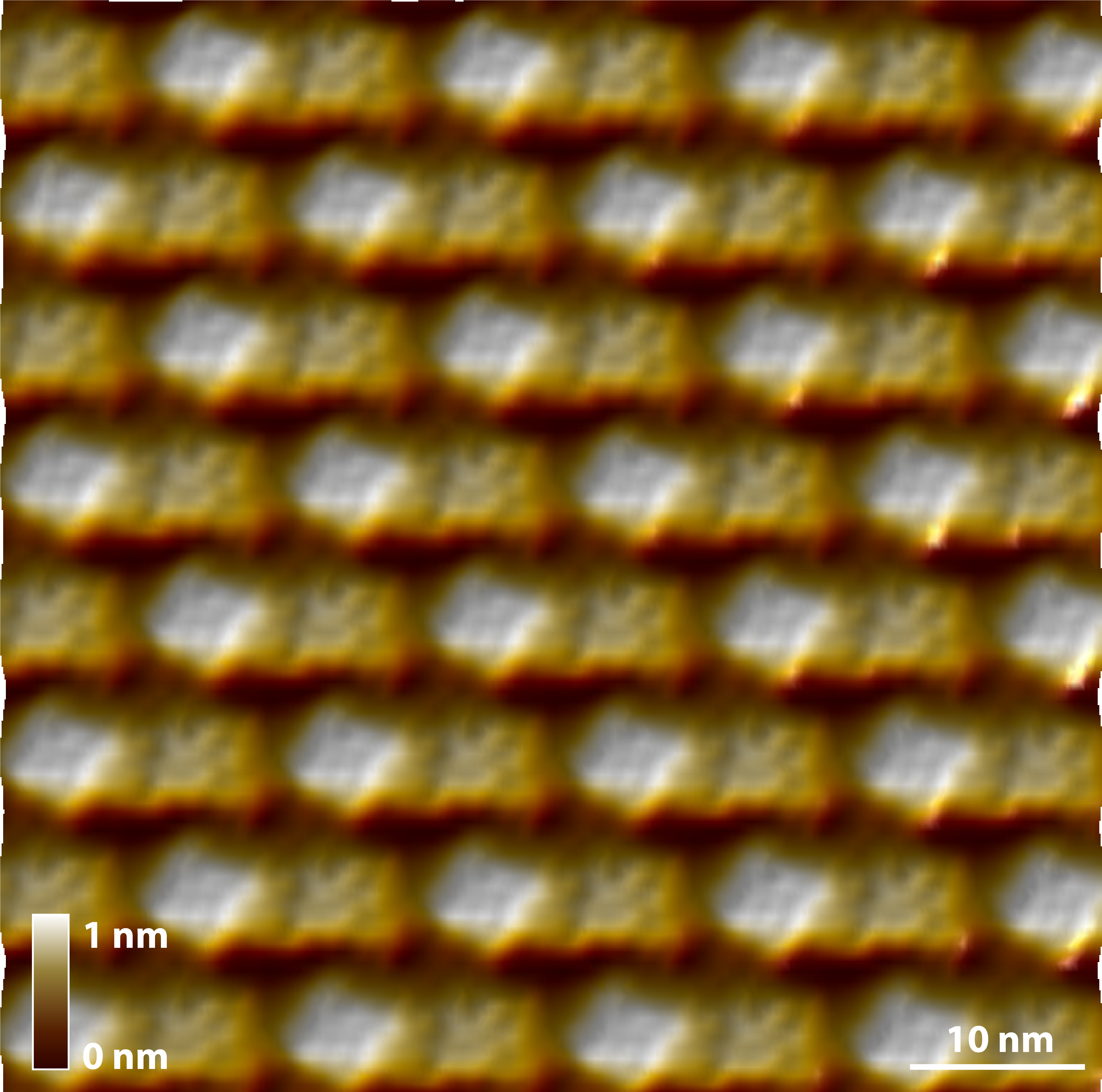 atomic force microscopy (AFM) averaged morphological image of the two-dimensional protein crystals