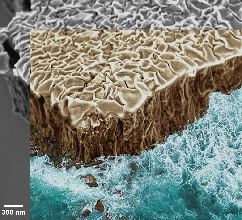 Vacuum Thermal Dealloying Of Nb:mg Film 