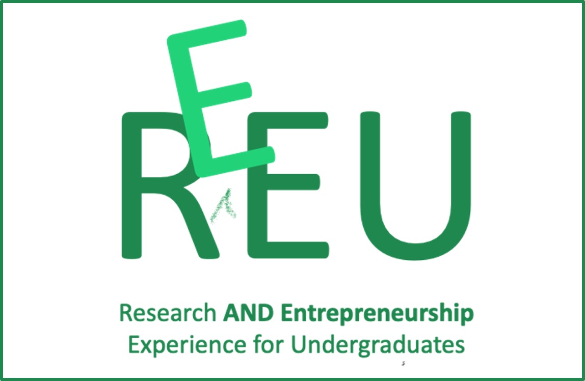 REEU Program