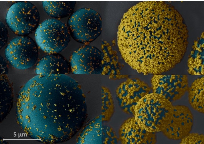 Detection of COVID-19 Antibodies