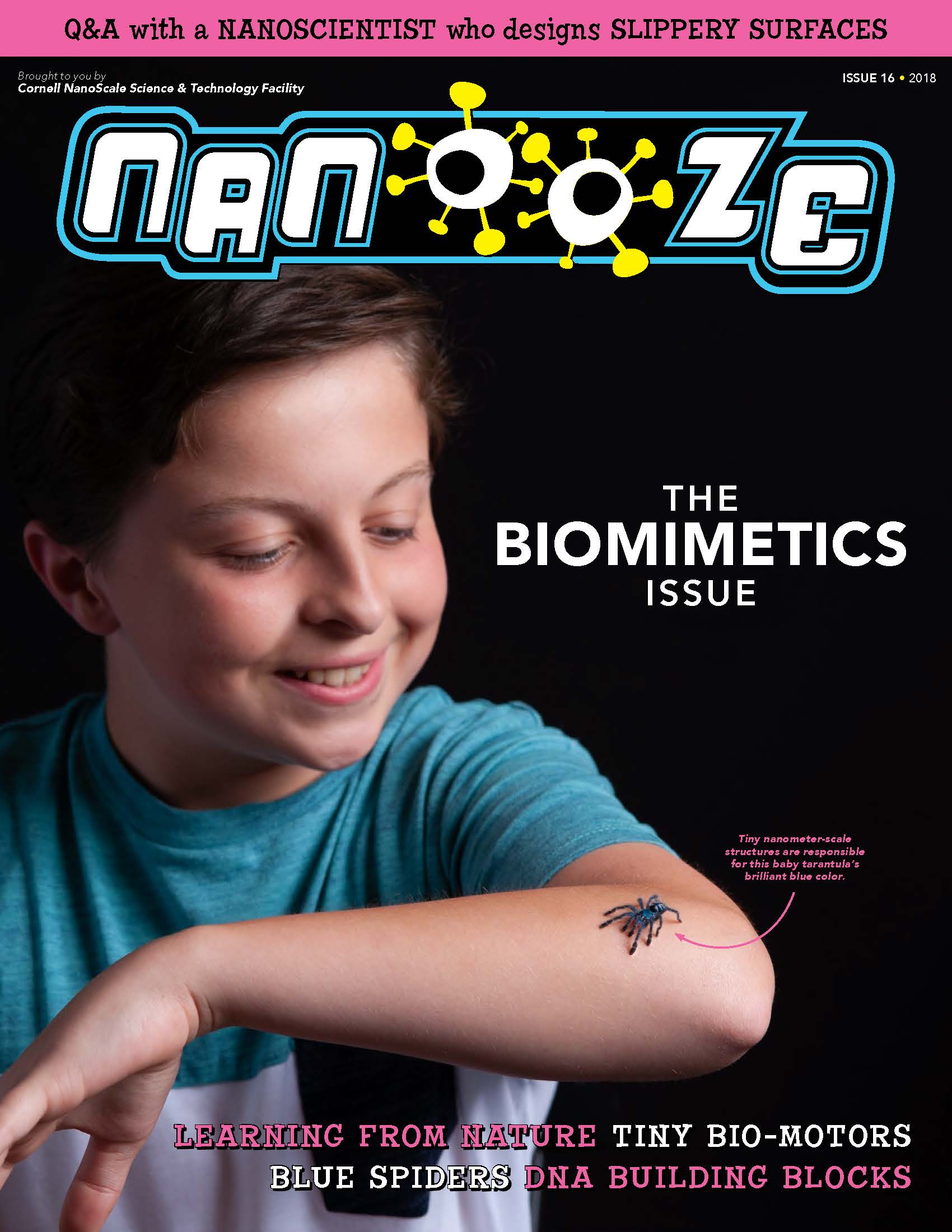 Issue 16: Biomimetics