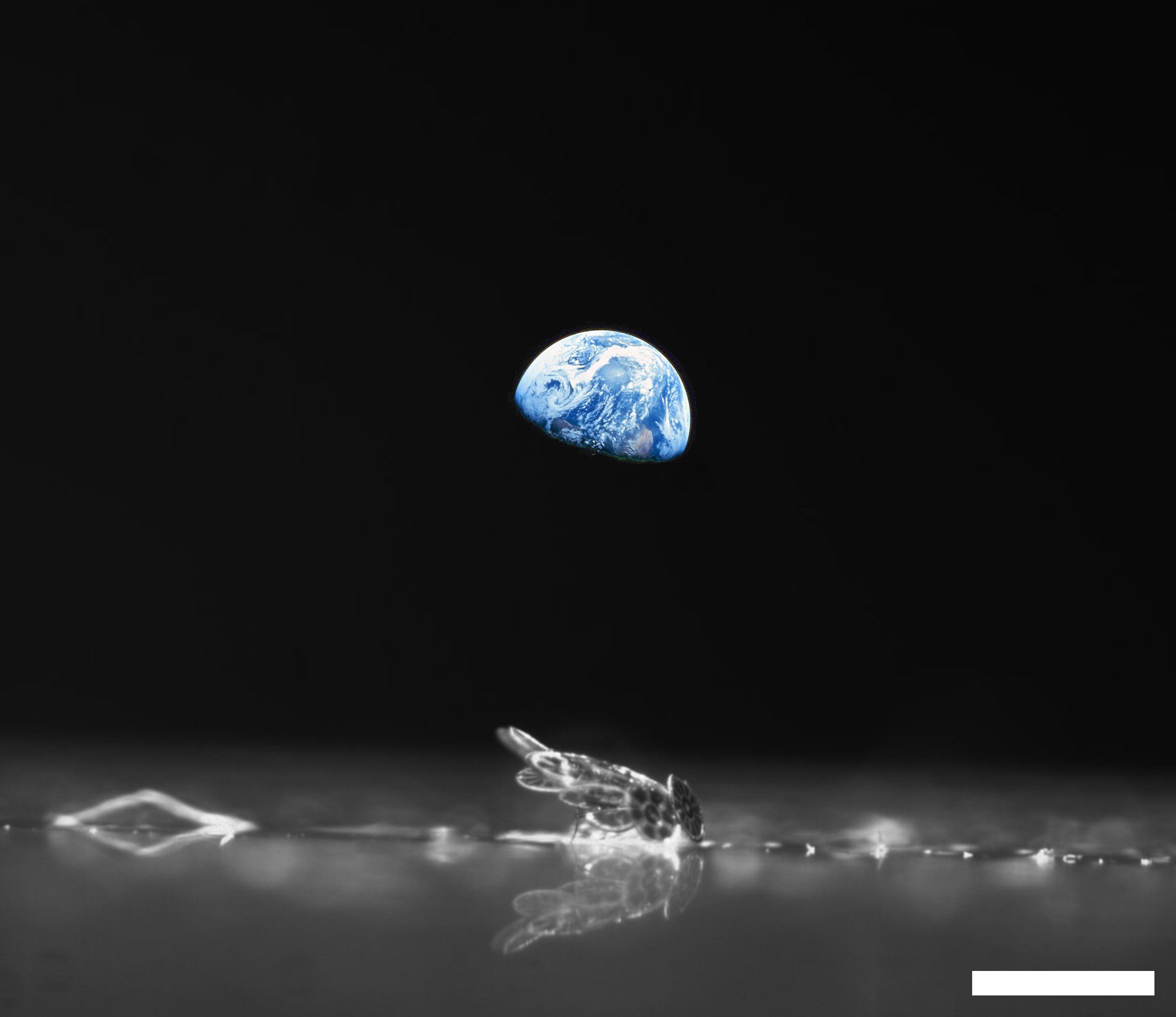 Self-Assembled Microrobot Structure on the Moon
