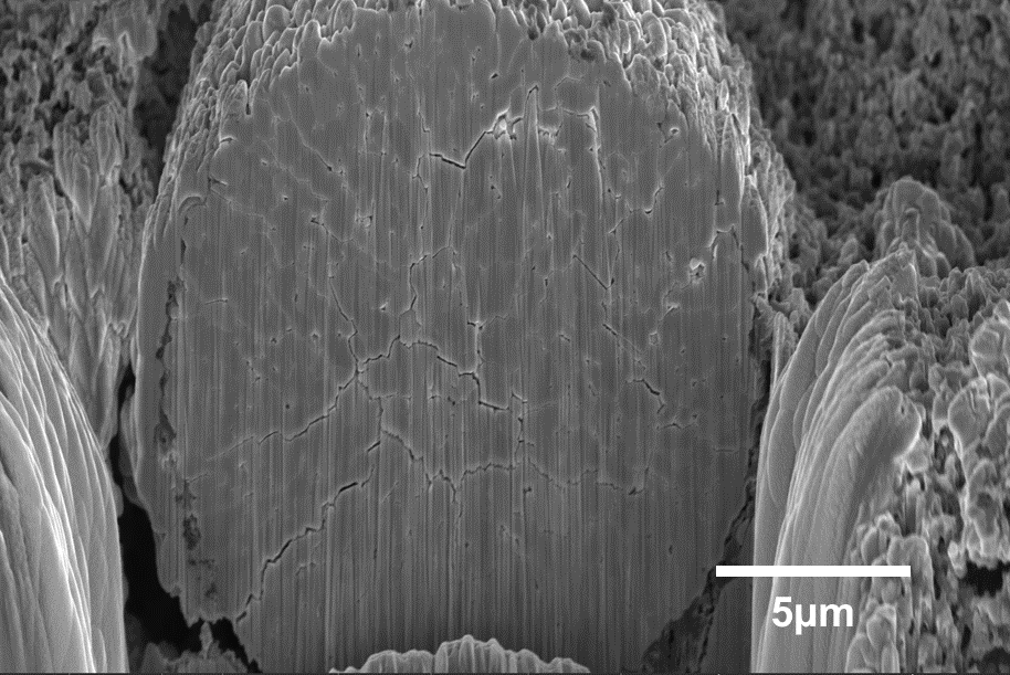 Advanced imaging of cathode active material degradation: insights through Helios 5 DualBeam system