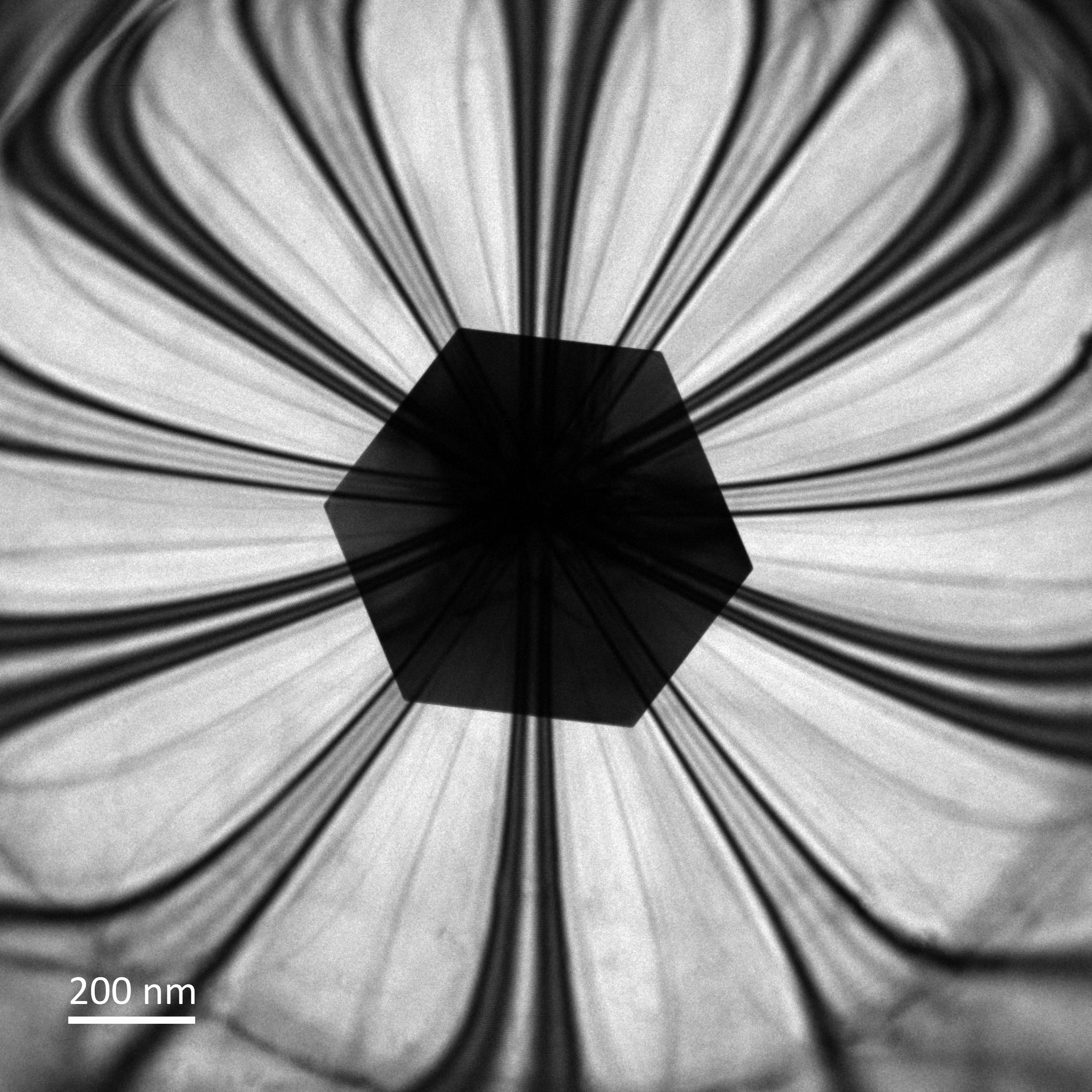 Twisted Cu Flower