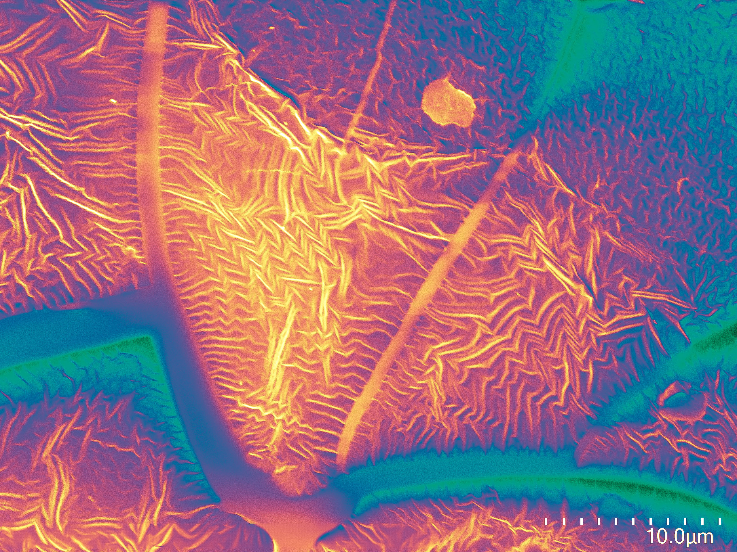 Incandescent Desert