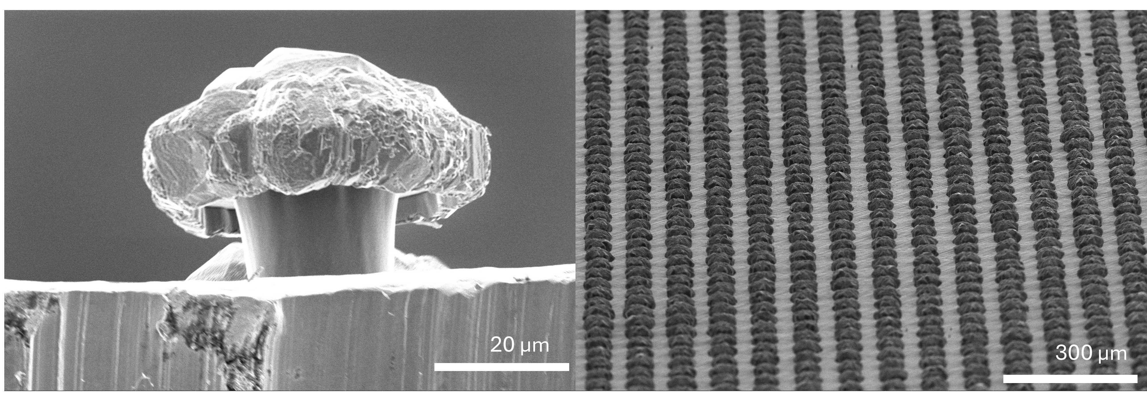 Micro-Mushroom Array