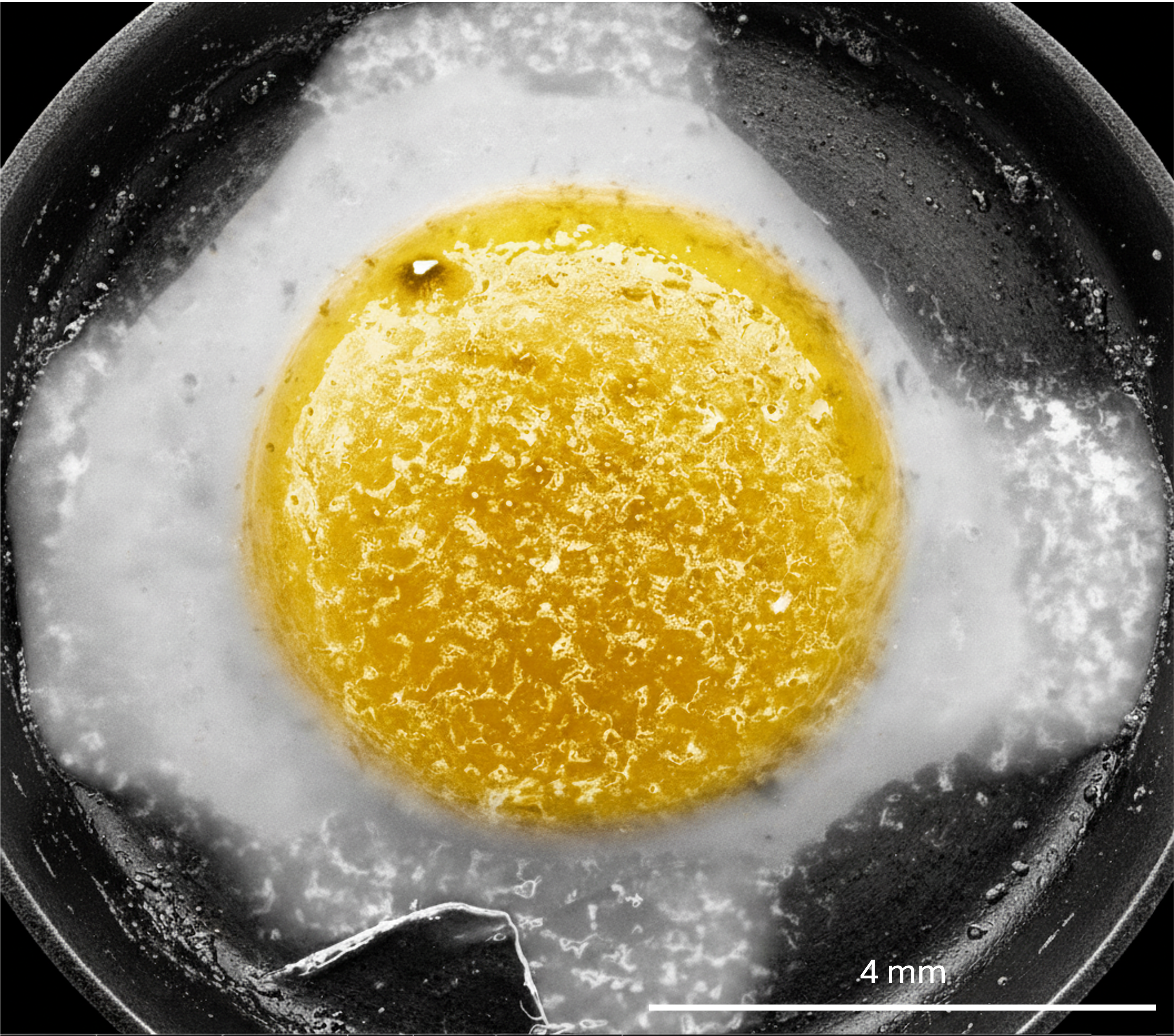 Sunny Side Up