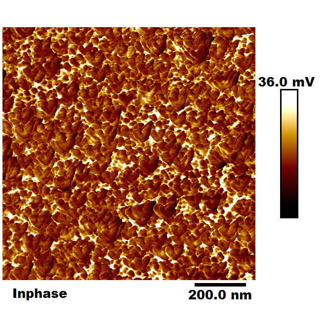 NanoHearts: Self-Assembled Beauty at the Nanoscale
