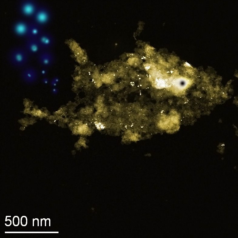 Nano - Au (Gold) Fish