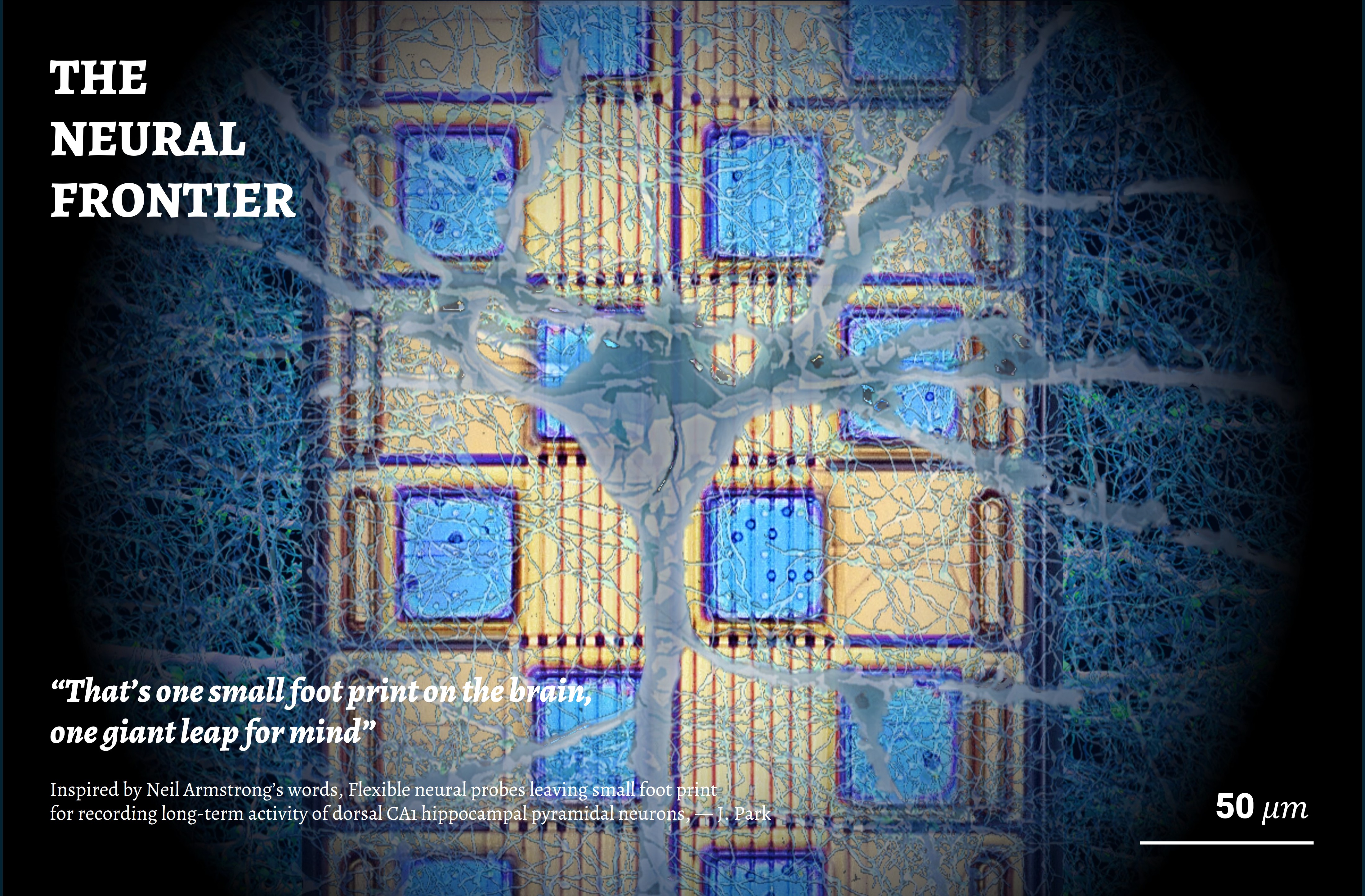The Neural Frontier