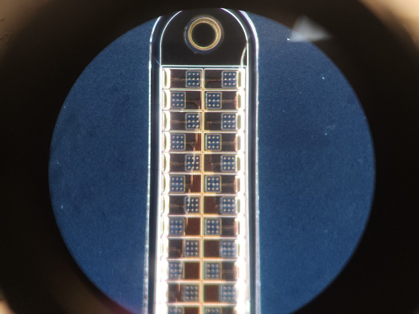 Microfabricated Neuropixel