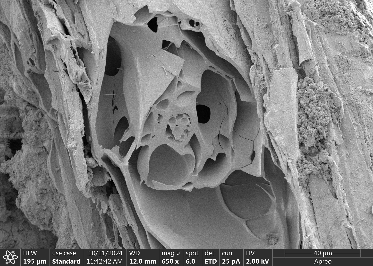 The Hidden Architecture of Biochar