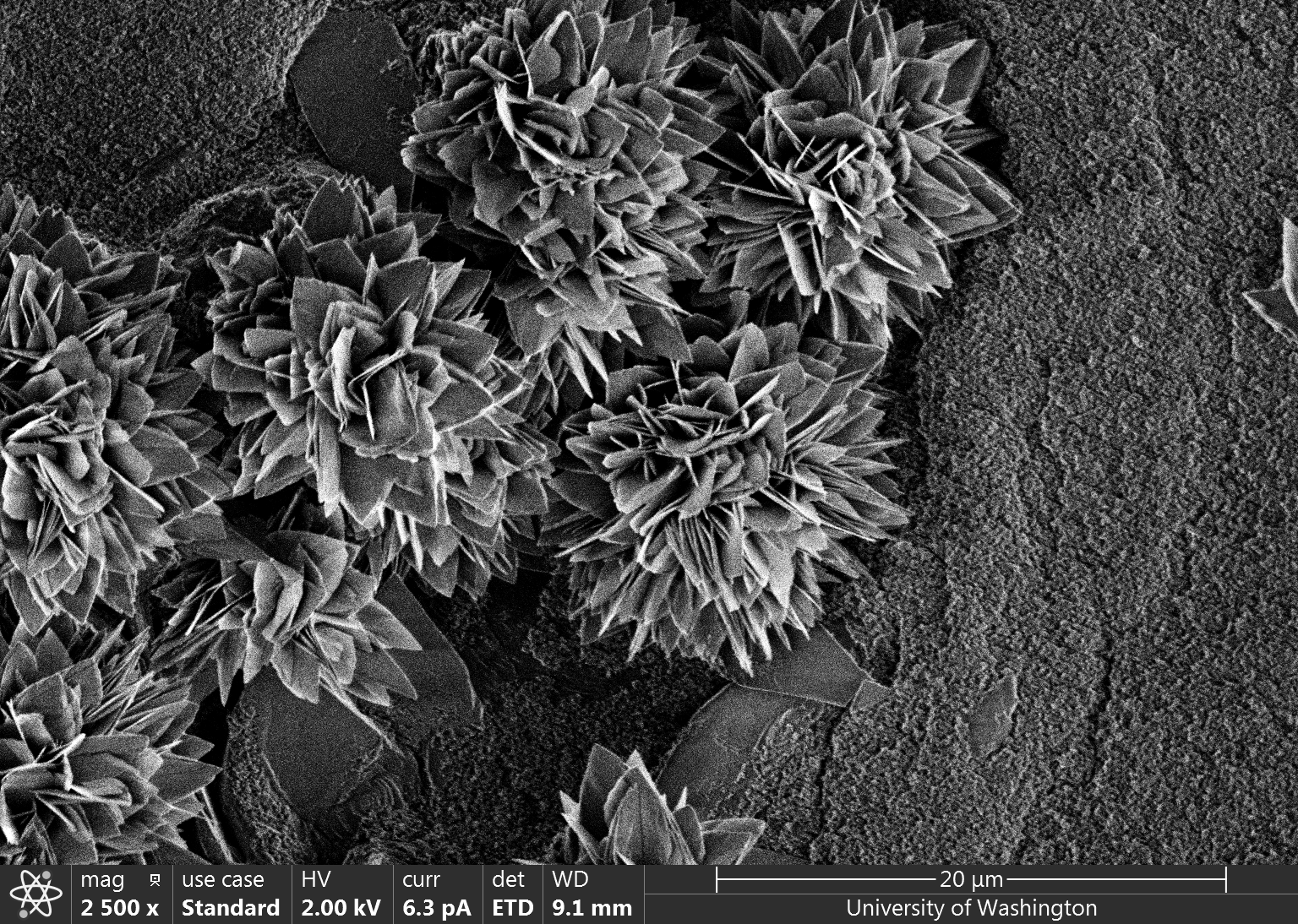 Phosphate Phlowers