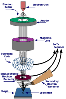 How an SEM works