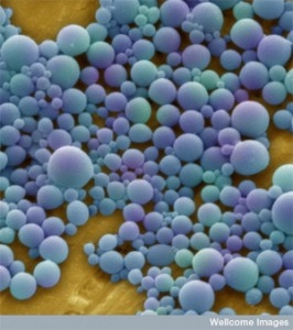 nanoparticles-in-blue-266x300