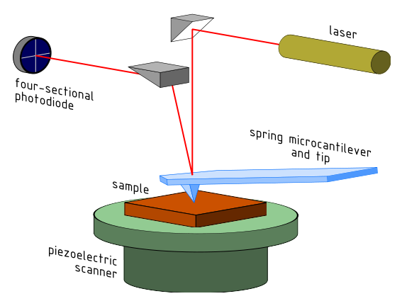Schematic of an AFM