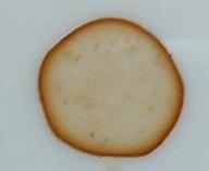 Image of coffee ring developed in lesson