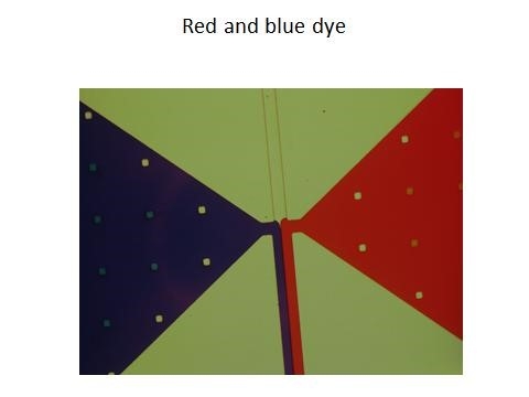 Laminar flow microfluidic device courtesy of Arizona State University