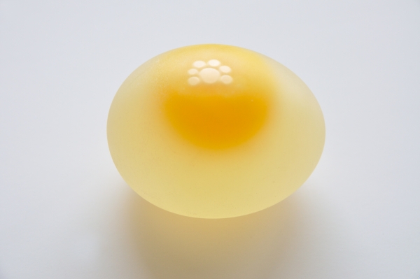 Chicken egg without eggshell Wikipedia: https://en.wikipedia.org/wiki/File:Chicken_Egg_without_Eggshell_5859.jpg